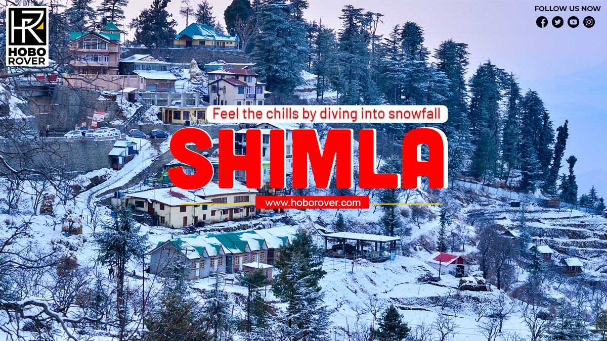 Feel the chills by diving into snowfall in Shimla