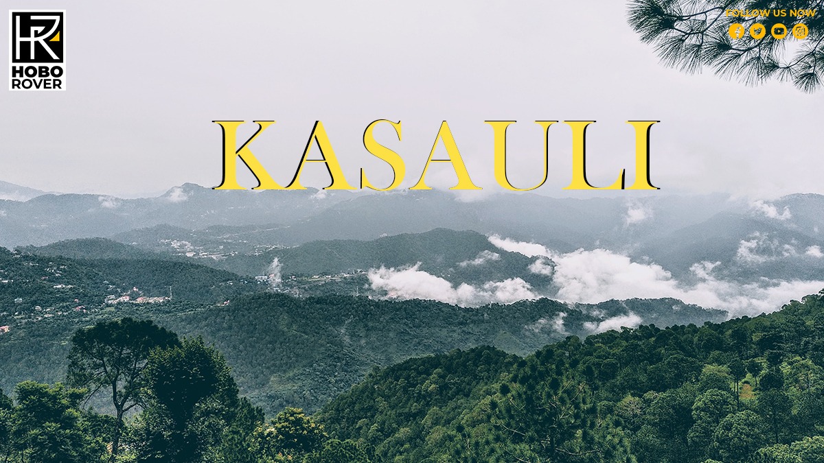 Level up your trip with these things to do in Kasauli