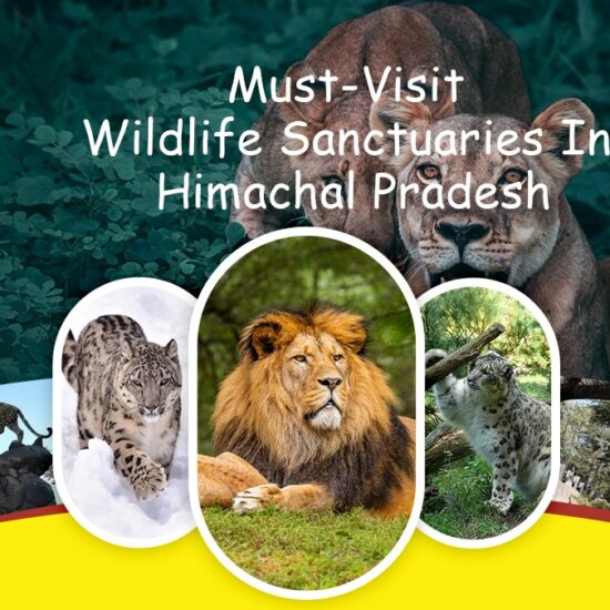 Must-Visit Wildlife Sanctuaries In Himachal Pradesh
