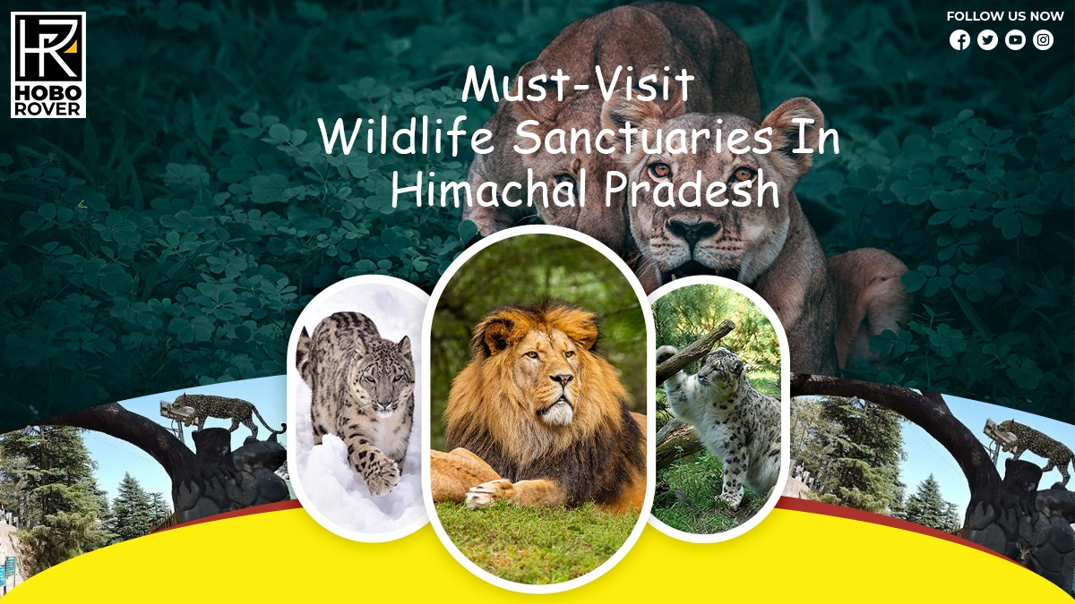 Must-Visit Wildlife Sanctuaries In Himachal Pradesh