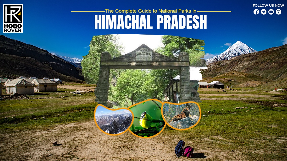 The Complete Guide to National Parks in Himachal Pradesh