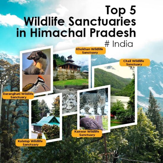 Top Five Wildlife Sanctuaries in Himachal Pradesh, India