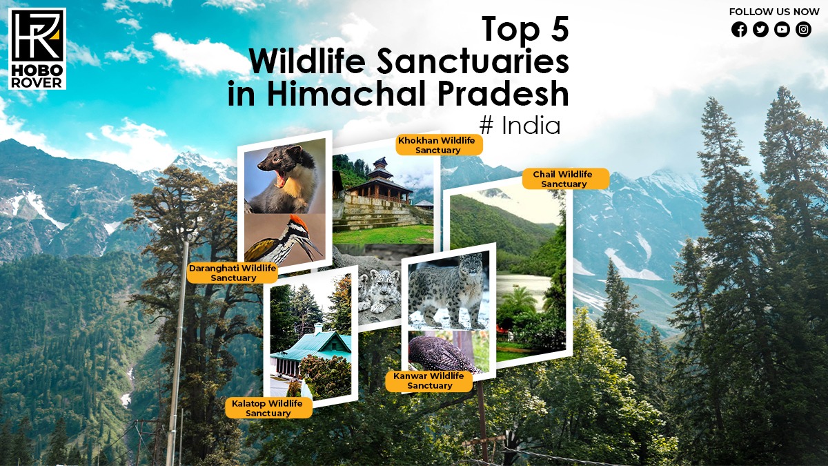 Top Five Wildlife Sanctuaries in Himachal Pradesh, India