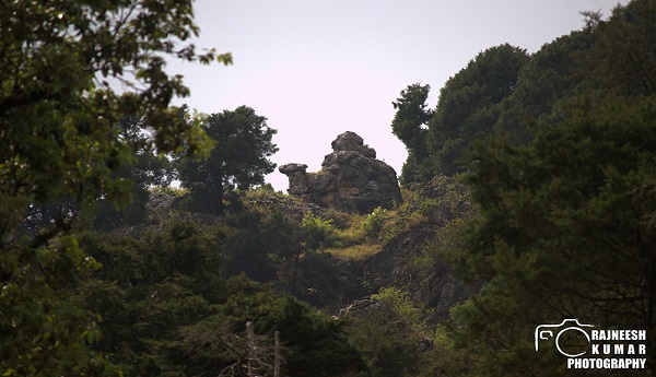 Camel Back Road Mussoorie