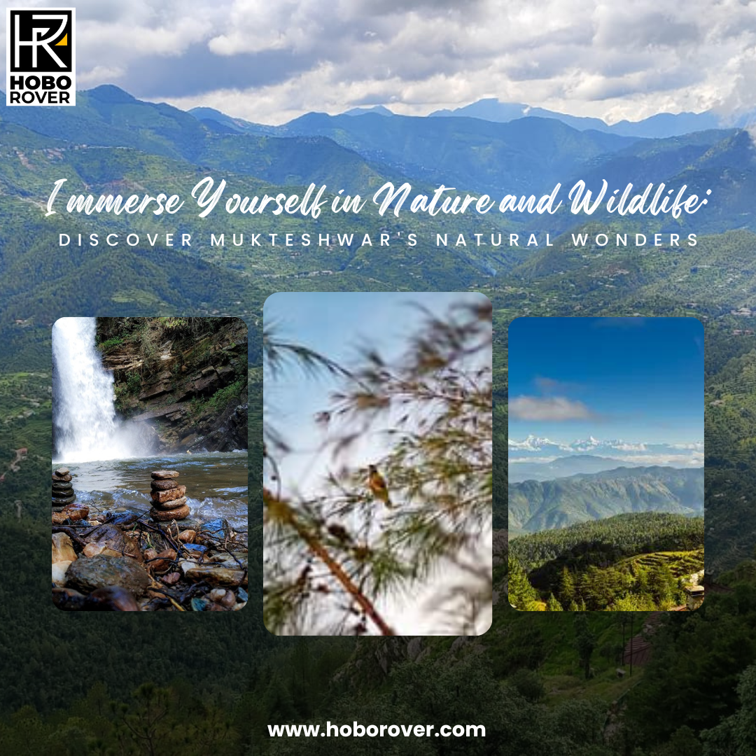 Immerse Yourself in Nature and Wildlife: Discover Mukteshwar's Natural Wonders