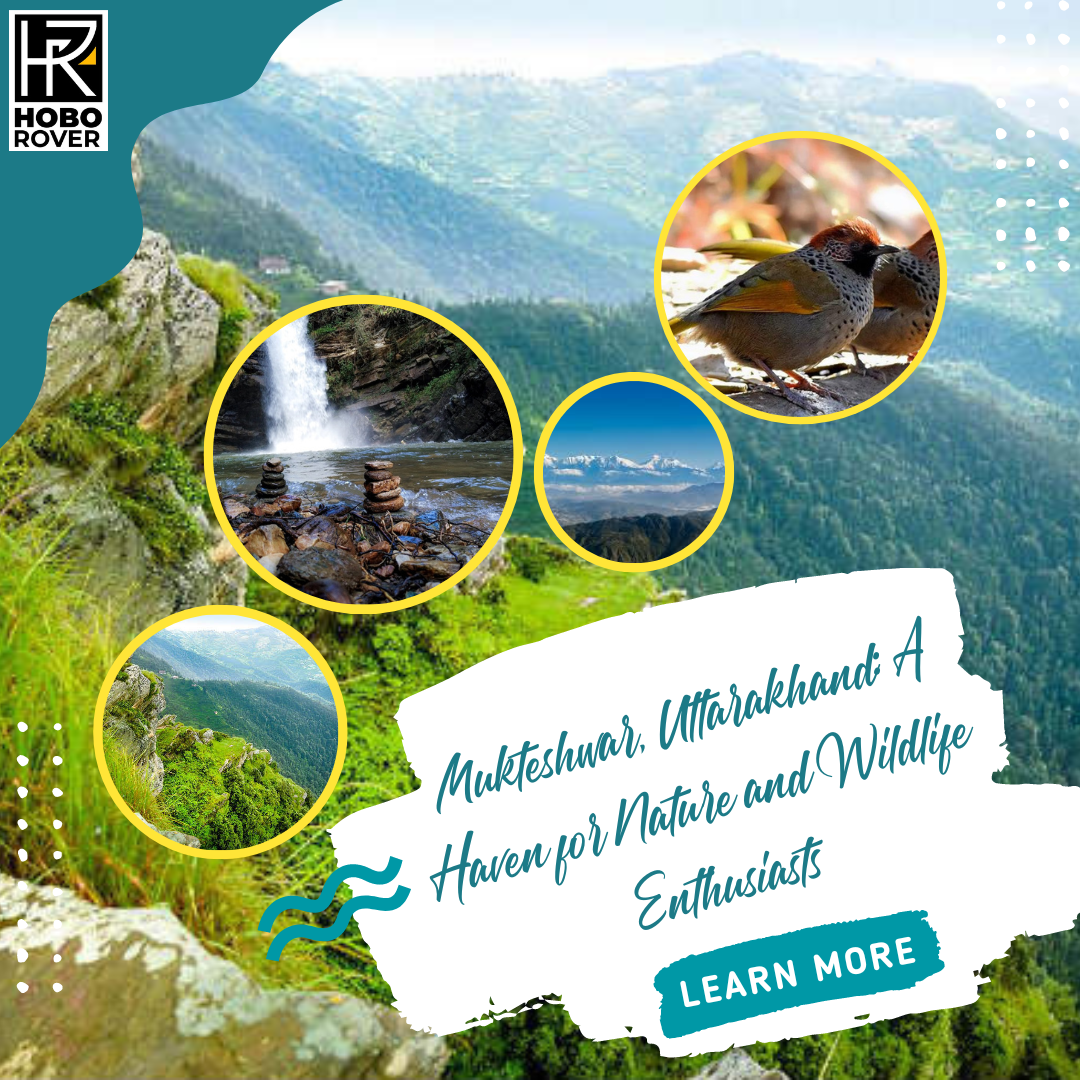 Mukteshwar, Uttarakhand: A Haven for Nature and Wildlife Enthusiasts